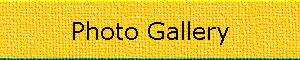 Photo Gallery Banner